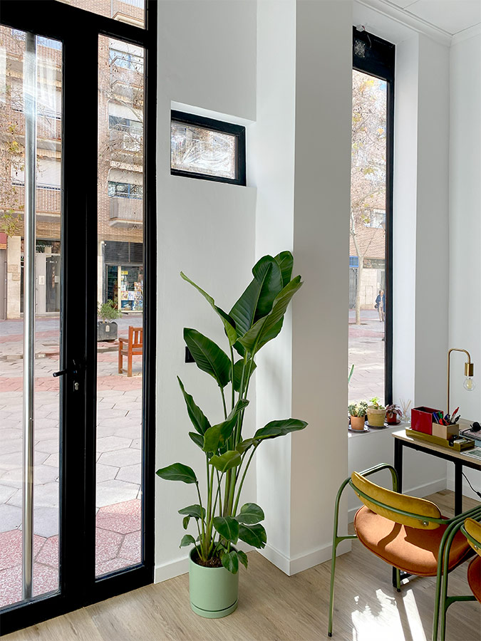 Academia Aurea La Flota